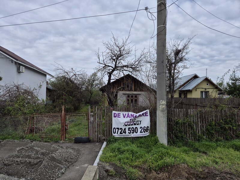Cornetu, Garoafei,